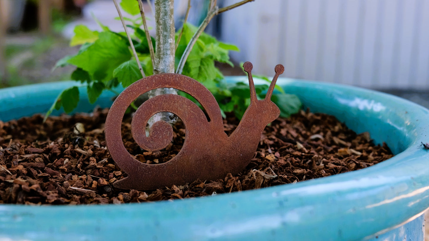 Snail