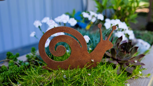 Snail