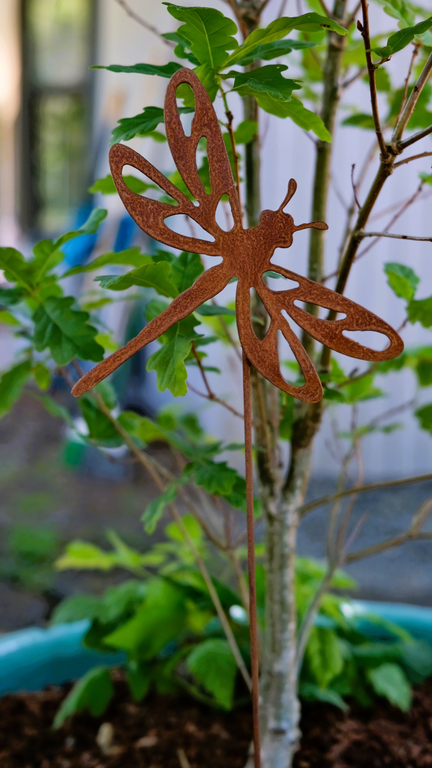 Dragonfly