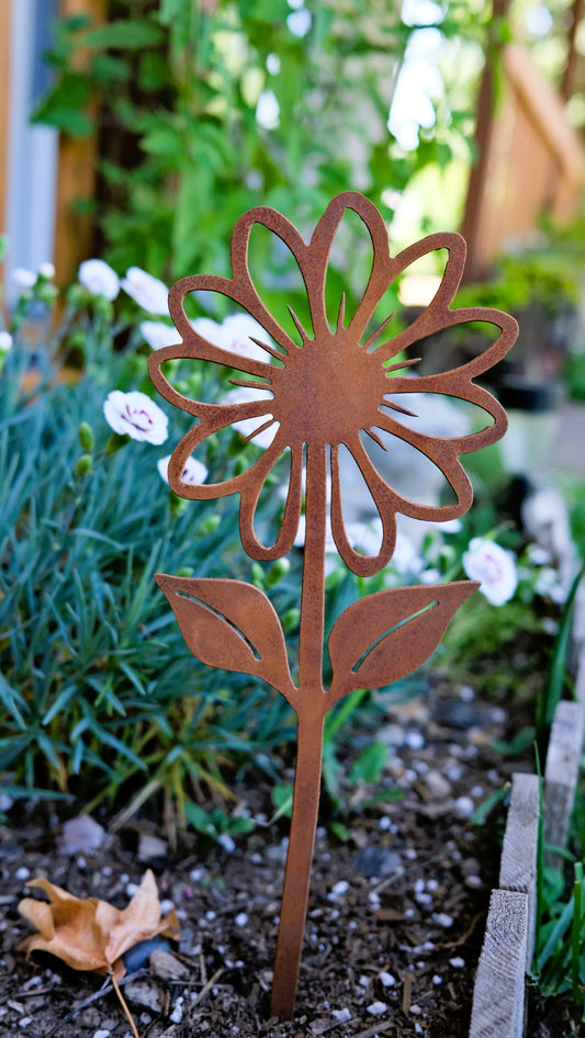 Daisy
